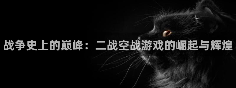 战争史上的巅峰：二战空战游戏的崛起与辉煌
