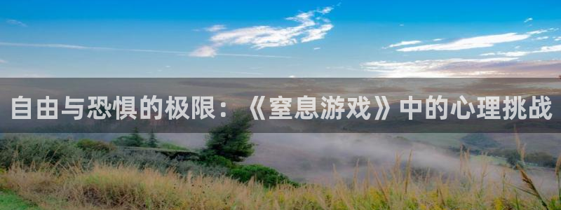 新宝GG提现被黑怎么解决：自由与恐惧的极限：《窒息游戏》中的